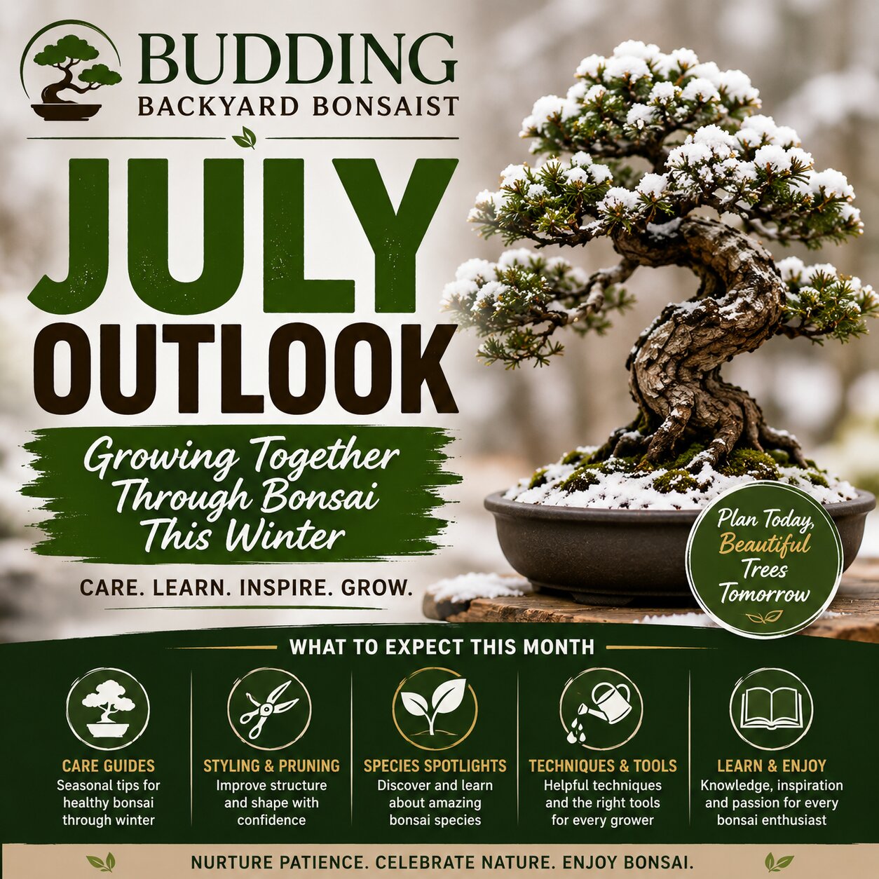 Join Budding Backyard Bonsaist this July for winter bonsai care tips, species guides, styling advice, and inspiration for enthusiasts of every experience level.
