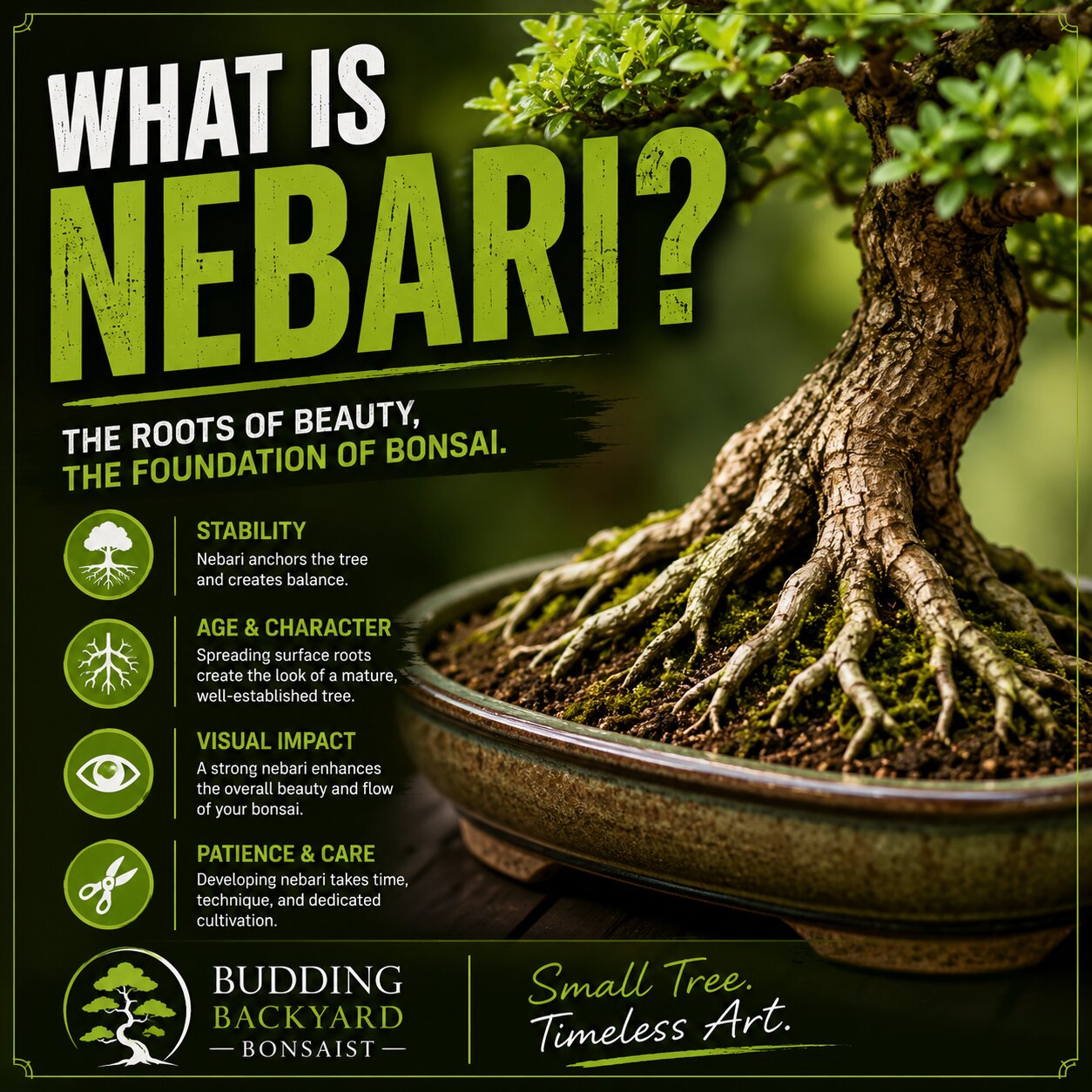 What Is Nebari?