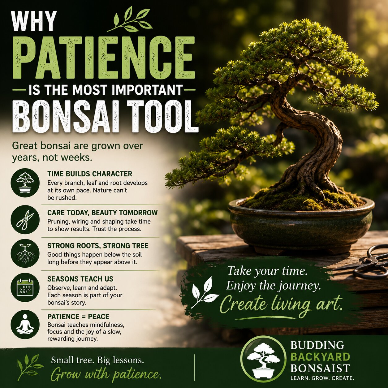 Why Patience Is the Most Important Bonsai Tool