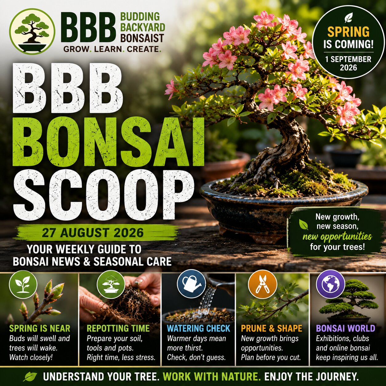 BBB Bonsai Scoop: Spring Is Coming and Your Trees Know It