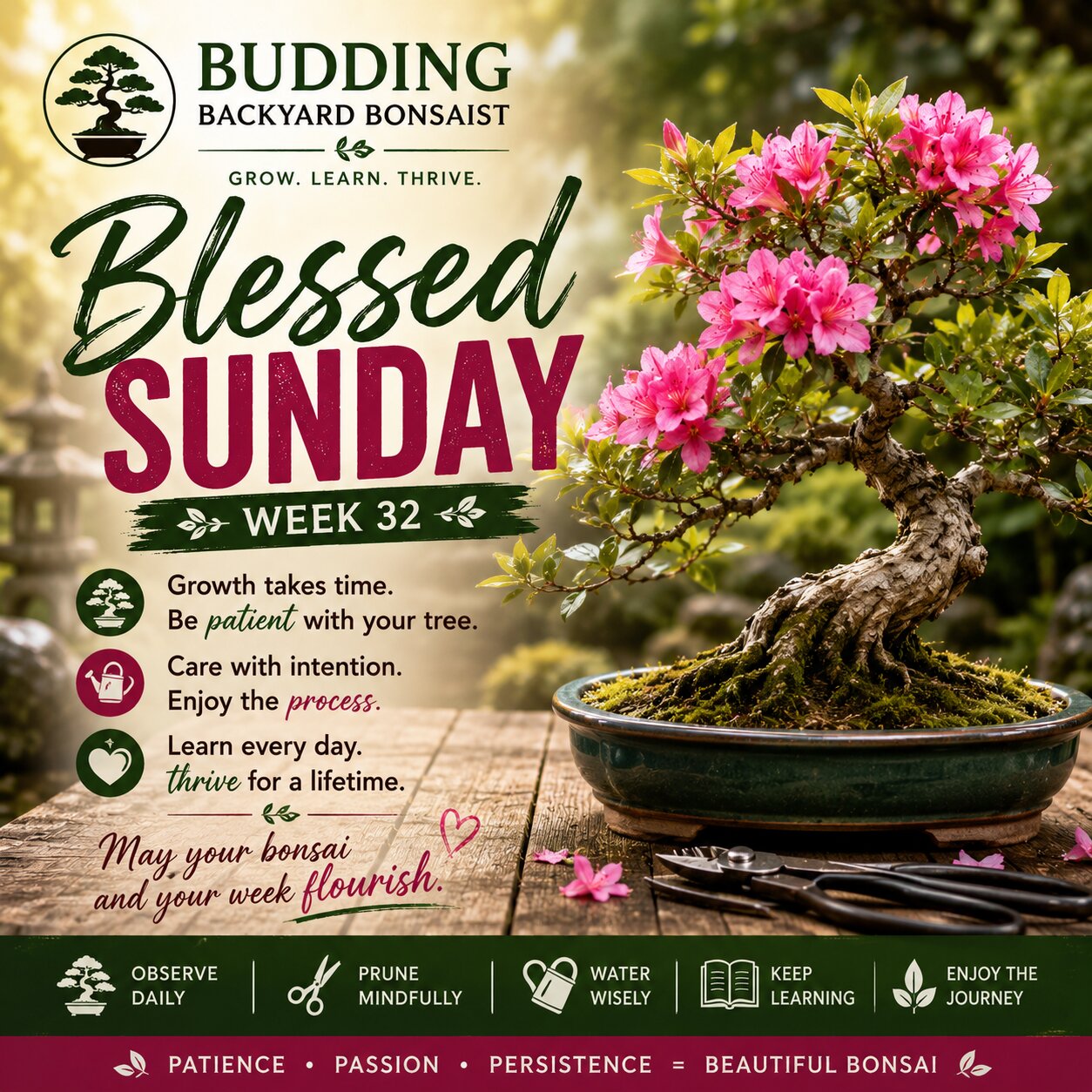 Blessed Sunday Week 32