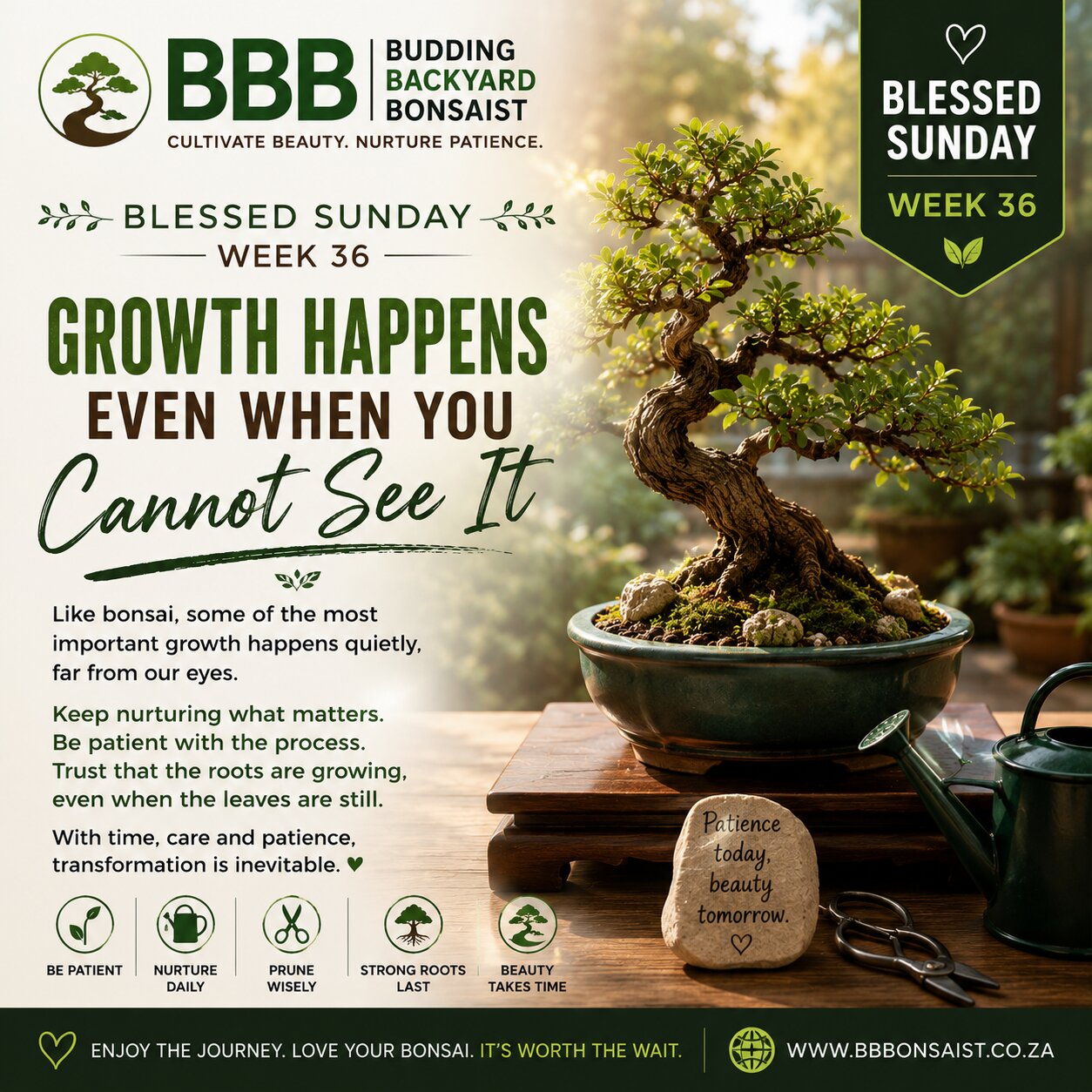 Blessed Sunday Week 36
