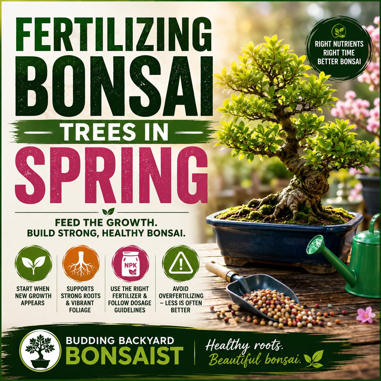 Fertilising Bonsai Trees in Spring