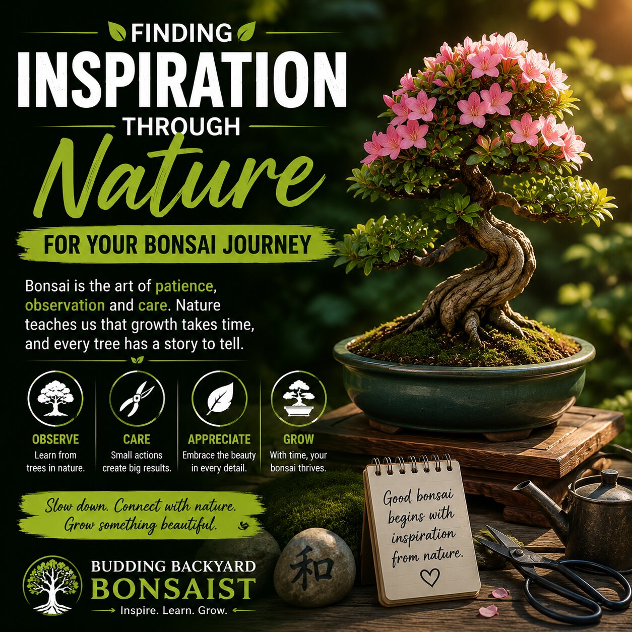 Finding Inspiration Through Nature for Your Bonsai Journey