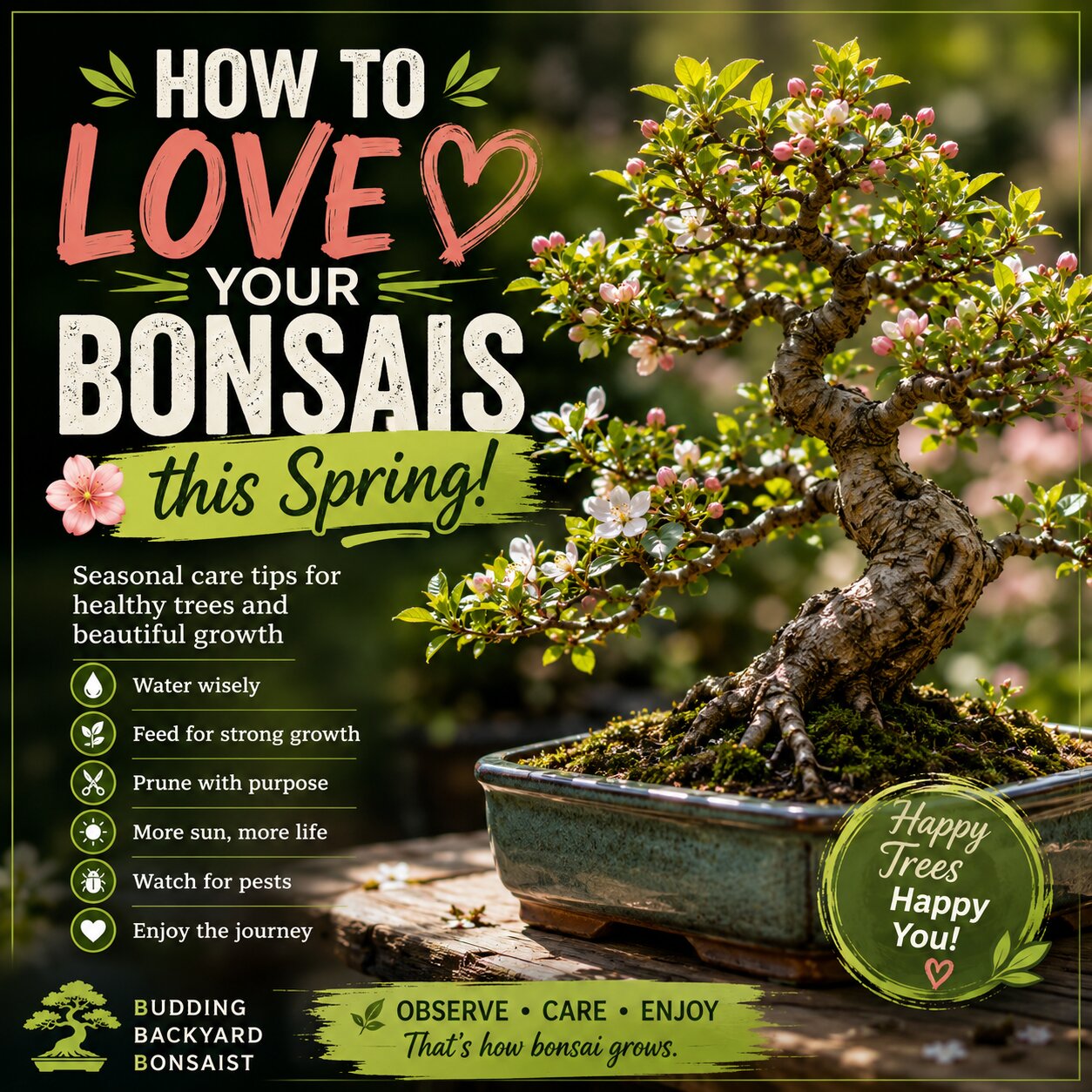 How to Love Your Bonsais This Spring