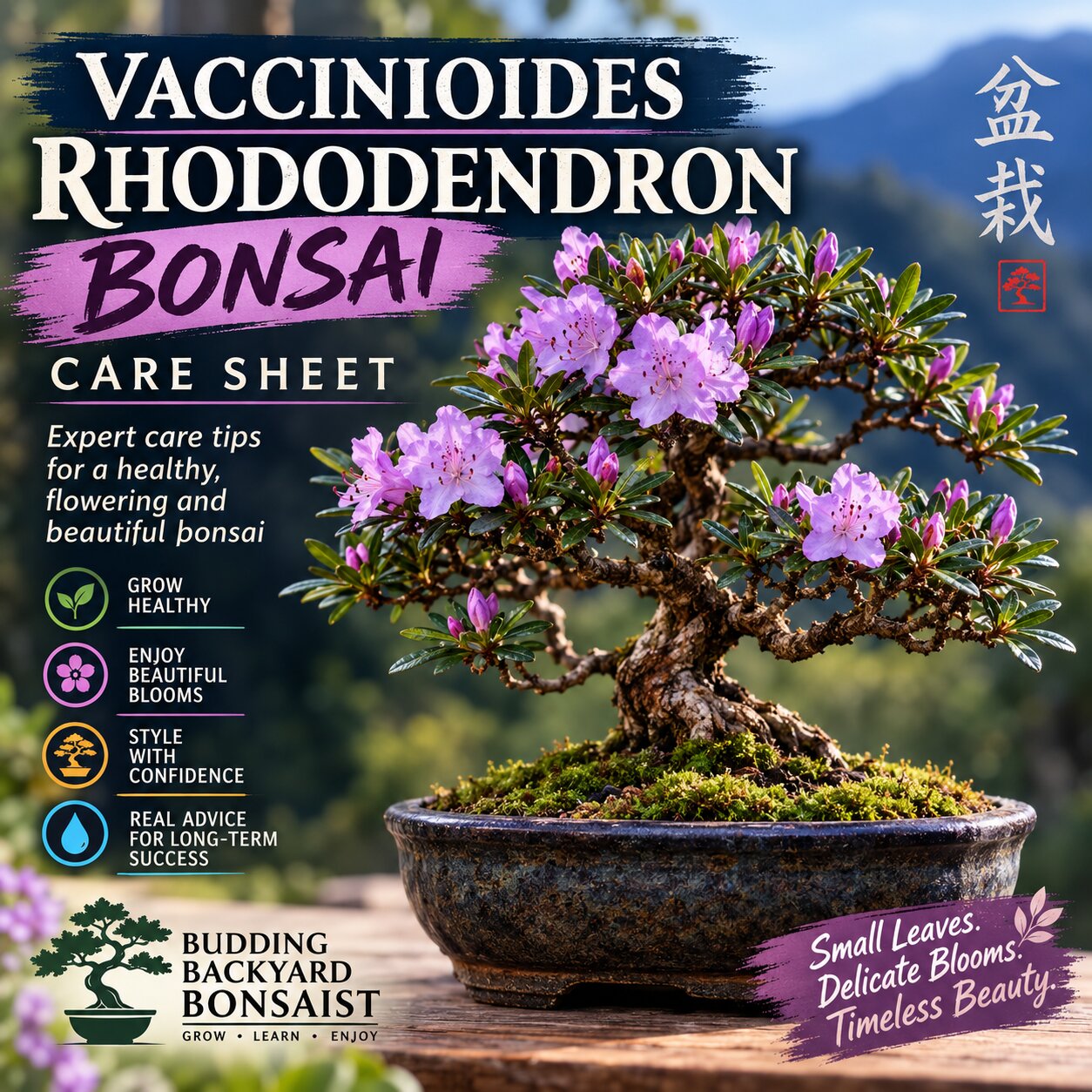 Vaccinioides Rhododendron Bonsai Care Sheet