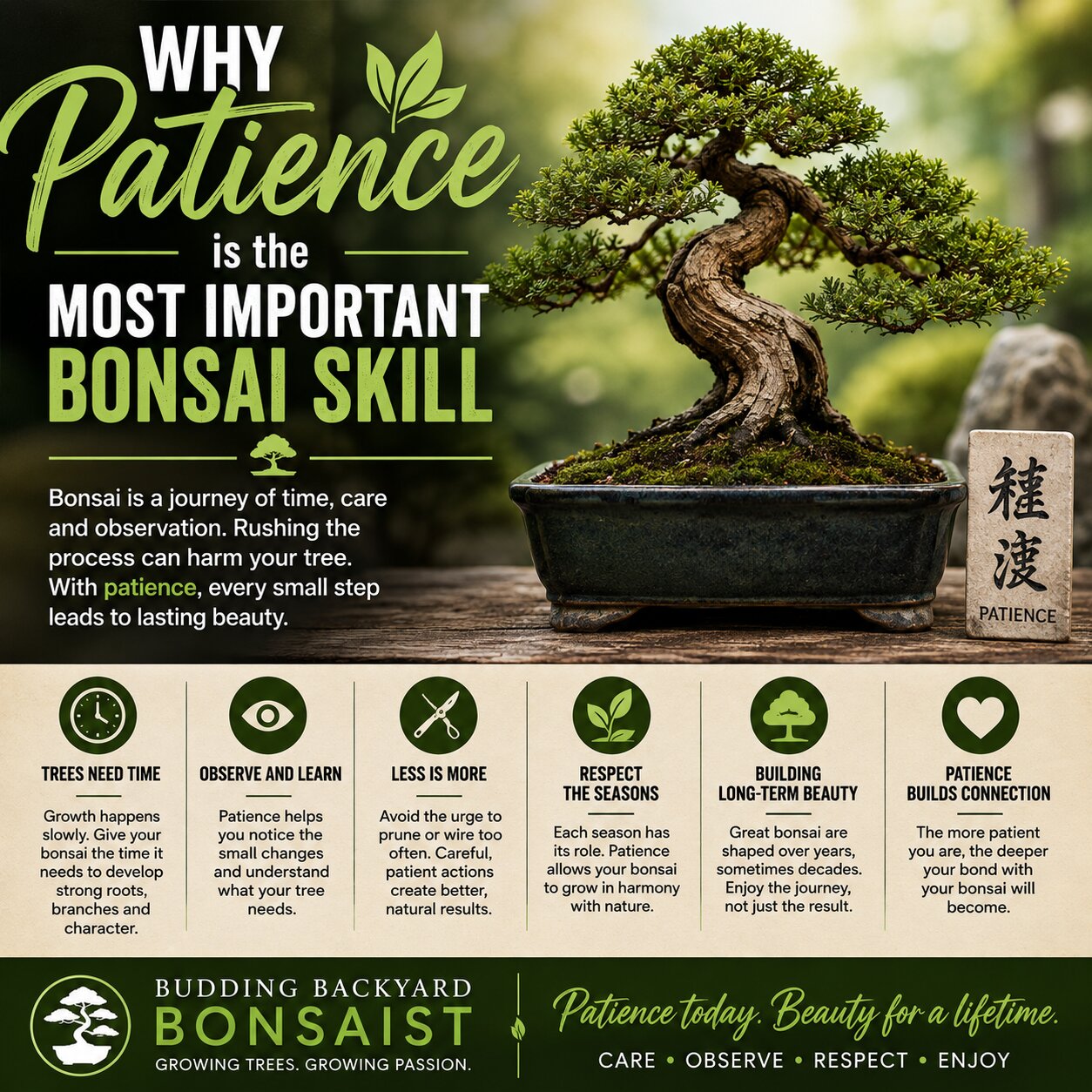 Why Patience Is the Most Important Bonsai Skill