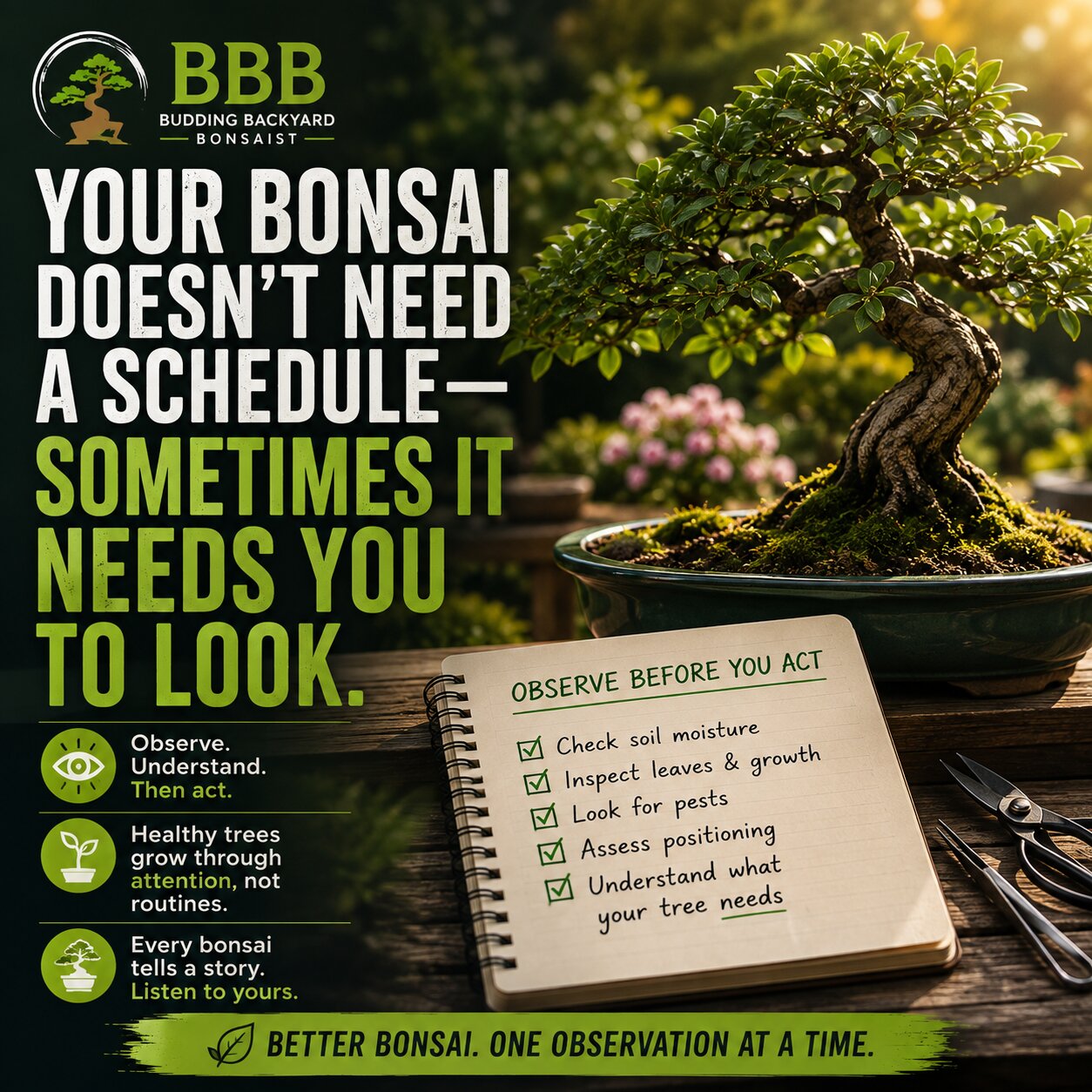 Your Bonsai Doesn't Need a Schedule | Sometimes It Needs You to Look