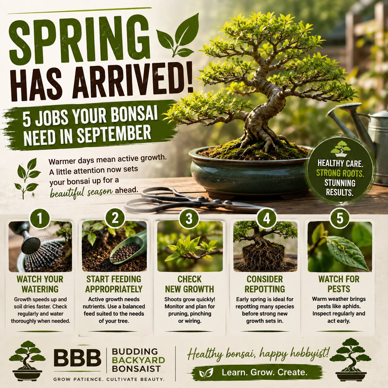 5 Jobs Your Bonsai Need in September