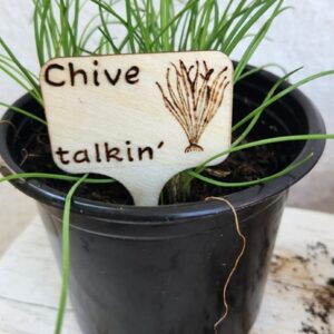 Growing Allegedly Opens Online Store for Fun Garden Tags 